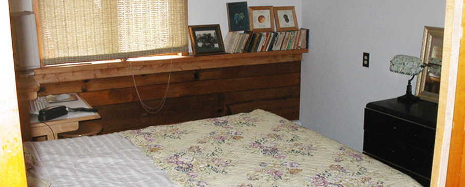 header-image7