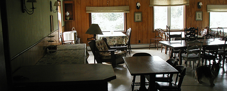 header-image8
